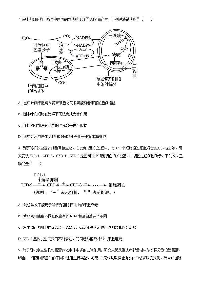 2023届重庆市巴蜀中学高三适应性月考卷（九）生物试题含答案02