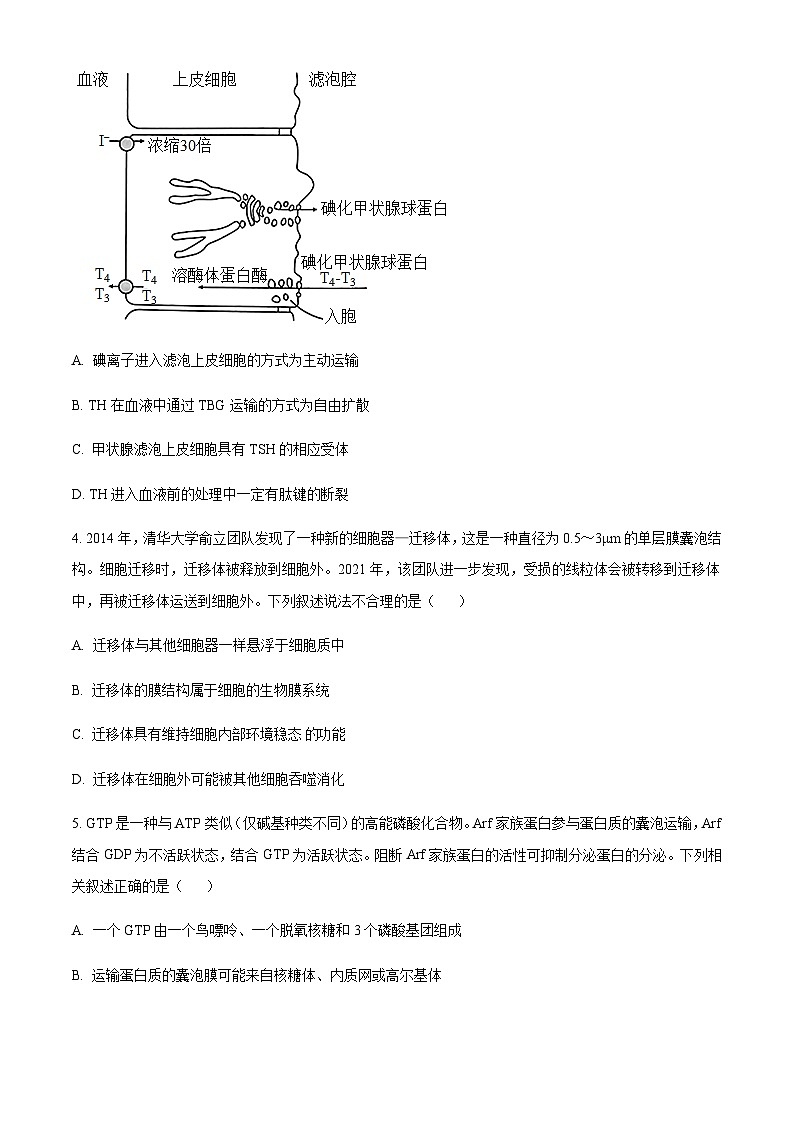 2022-2023学年重庆市巴蜀中学校高三3月适应性月考（八）生物试题含答案第2页