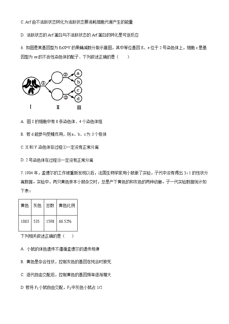 2022-2023学年重庆市巴蜀中学校高三3月适应性月考（八）生物试题含答案第3页