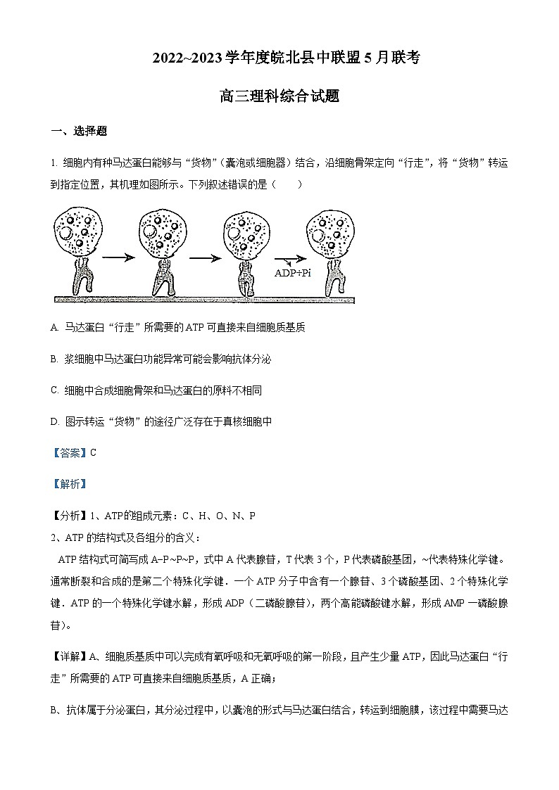 安徽皖北县中联盟2022-2023学年高三5月联考理综生物试题  Word版含解析第1页