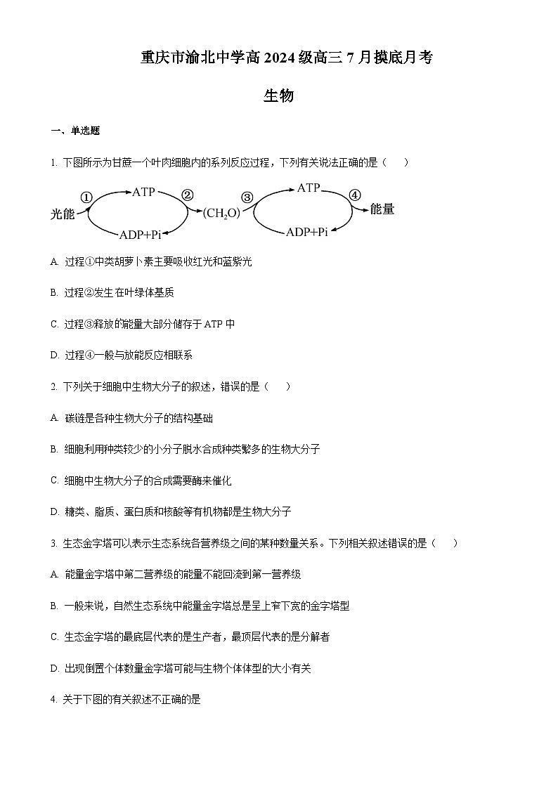 重庆市渝北中学2023-2023学年高三7月摸底考试生物试题  Word版无答案第1页