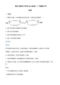 2023-2024学年重庆市渝北中学新高三7月摸底检测生物试题含答案