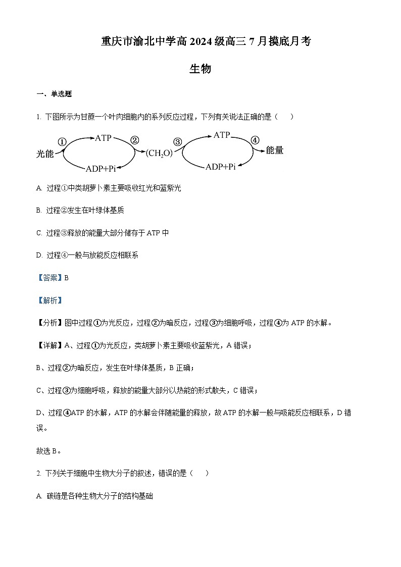重庆市渝北中学2023-2023学年高三7月摸底考试生物试题  Word版含解析第1页
