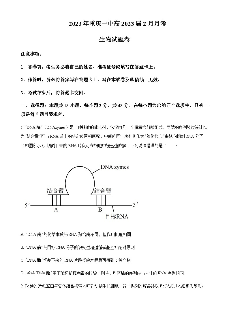 重庆市一中2022-2023学年高三2月月考生物试题  Word版无答案第1页