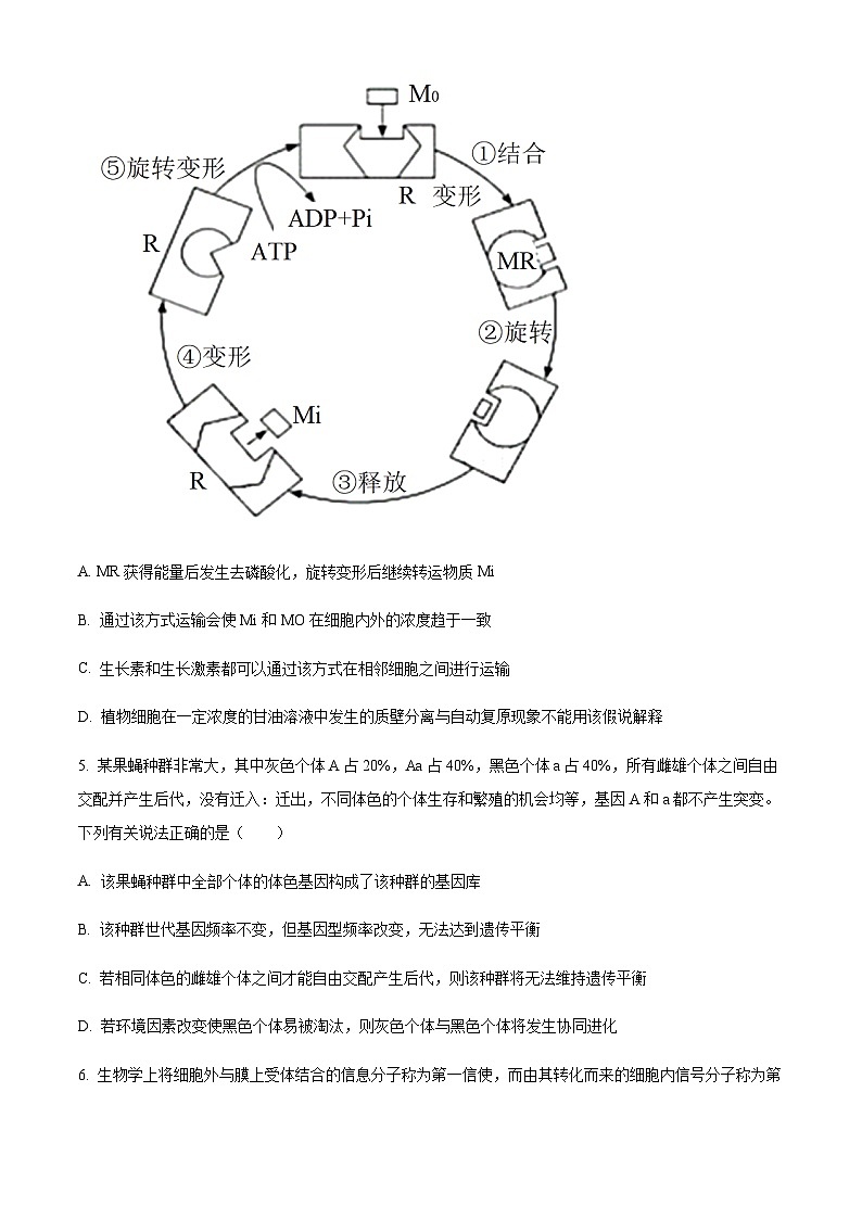 重庆市一中2022-2023学年高三2月月考生物试题  Word版无答案第3页
