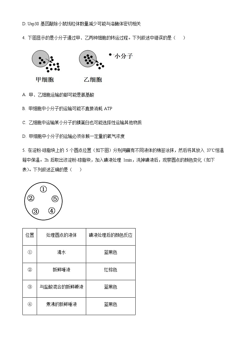 2022-2023学年重庆市沙坪坝区南开中学高三12月月考生物试题含答案02