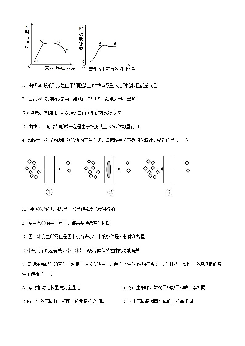 重庆市长寿中学校2022-2023学年高三12月月考生物试题  Word版无答案第2页