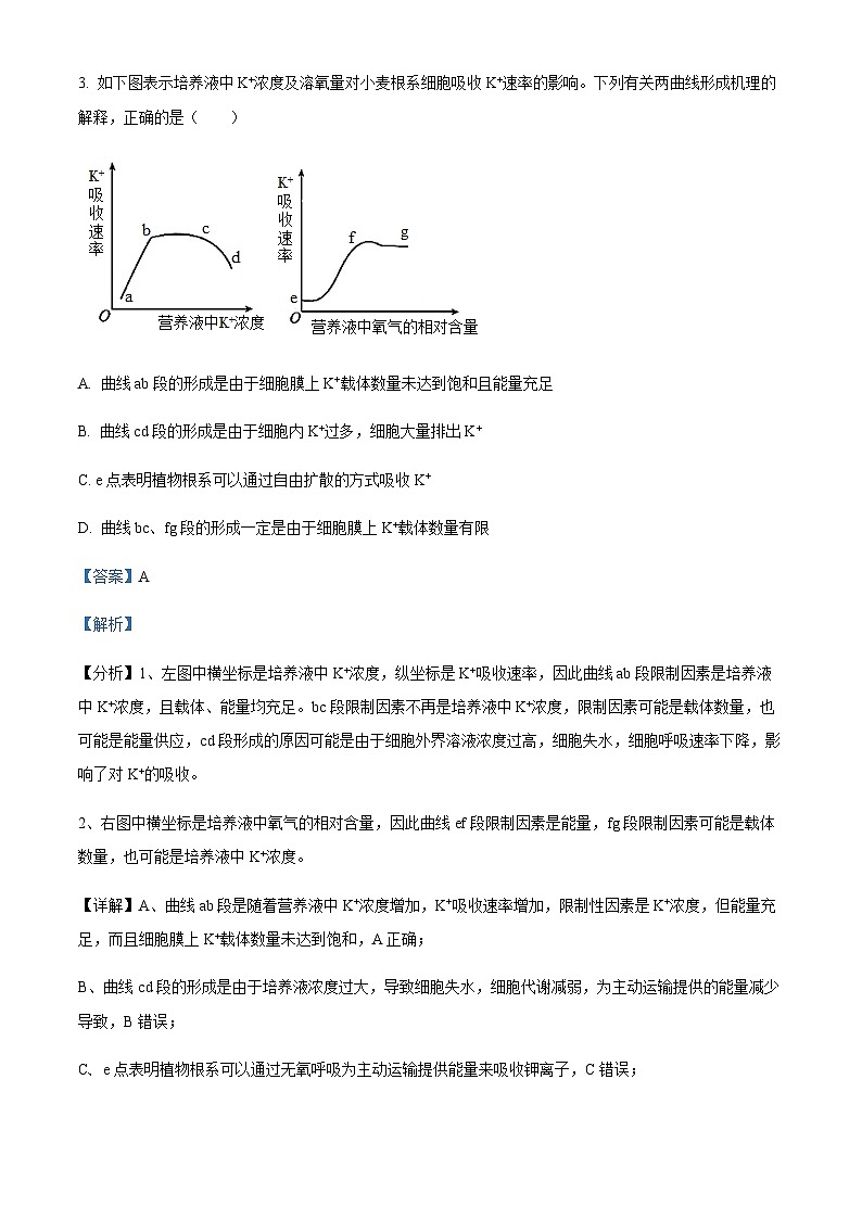 重庆市长寿中学校2022-2023学年高三12月月考生物试题  Word版含解析第3页