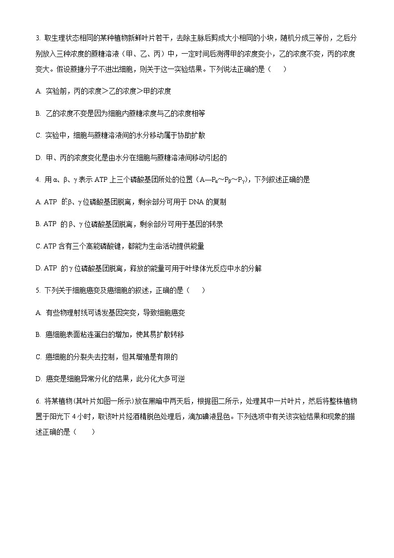 四川省内江市资中县二中2022-2023学年高三十月月考理综生物试题  Word版无答案第2页