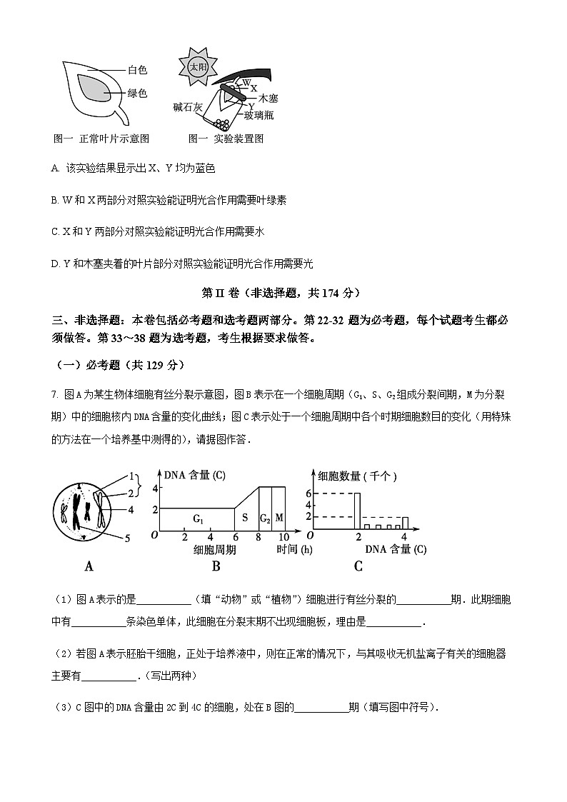 四川省内江市资中县二中2022-2023学年高三十月月考理综生物试题  Word版无答案第3页