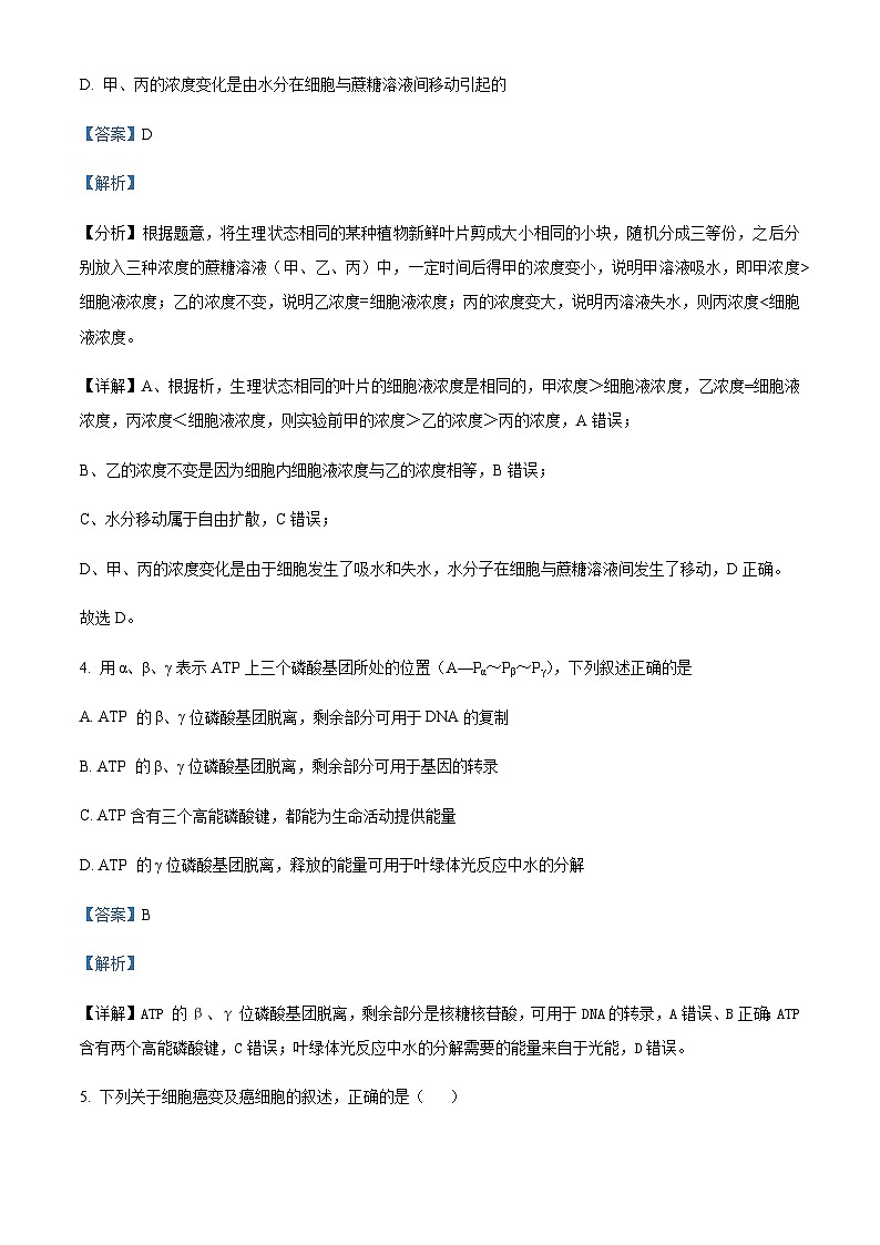 四川省内江市资中县二中2022-2023学年高三十月月考理综生物试题  Word版含解析第3页