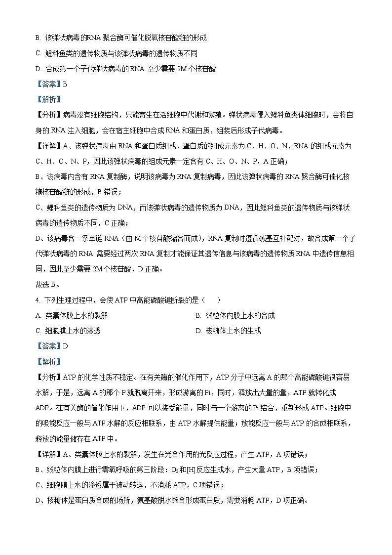 2024天津武清区杨村一中高三上学期开学检测生物试题含解析02