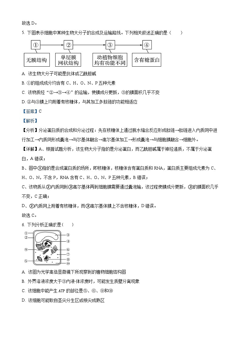 2024天津武清区杨村一中高三上学期开学检测生物试题含解析03
