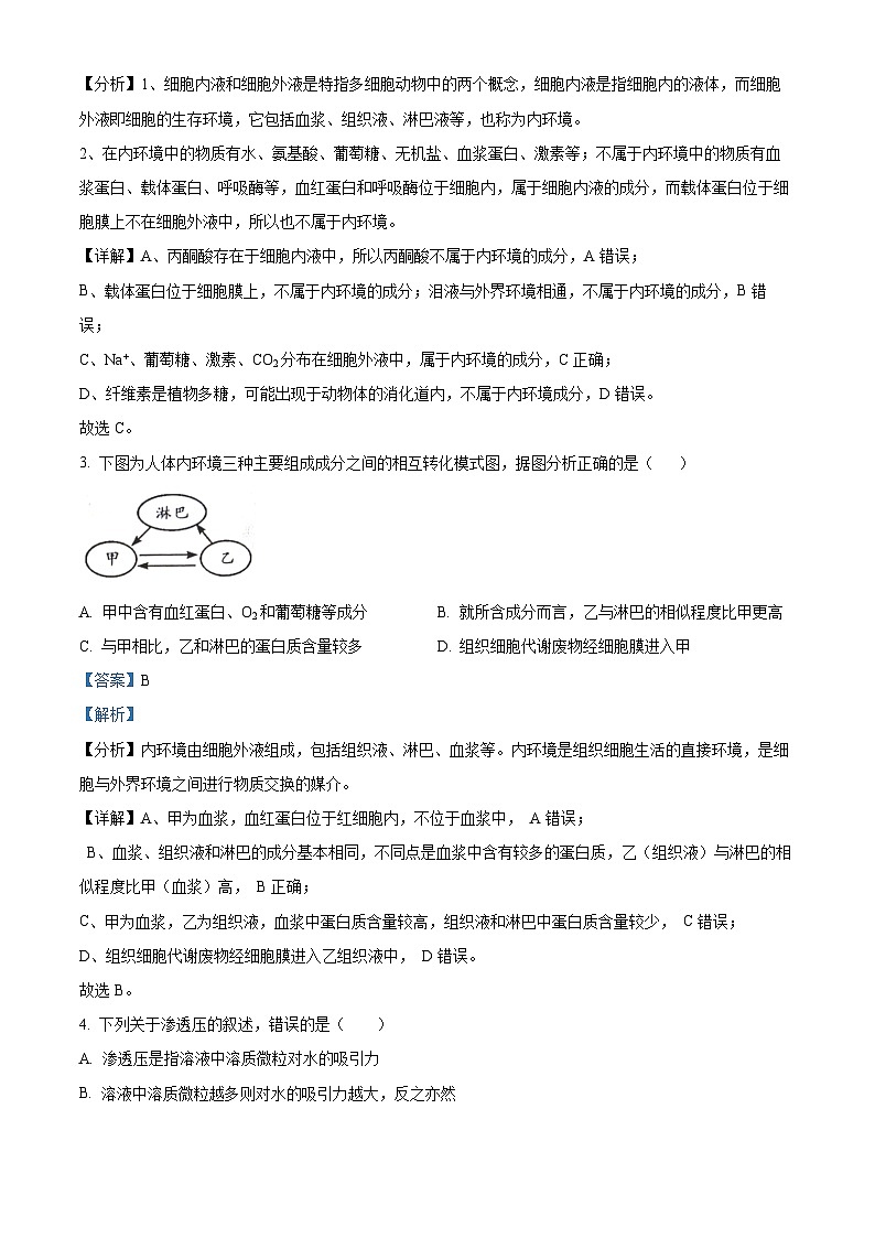 安徽省滁州市明光市三中与凤阳县临淮中学2023-2024学年高二生物上学期9月月考试题（Word版附解析）第2页