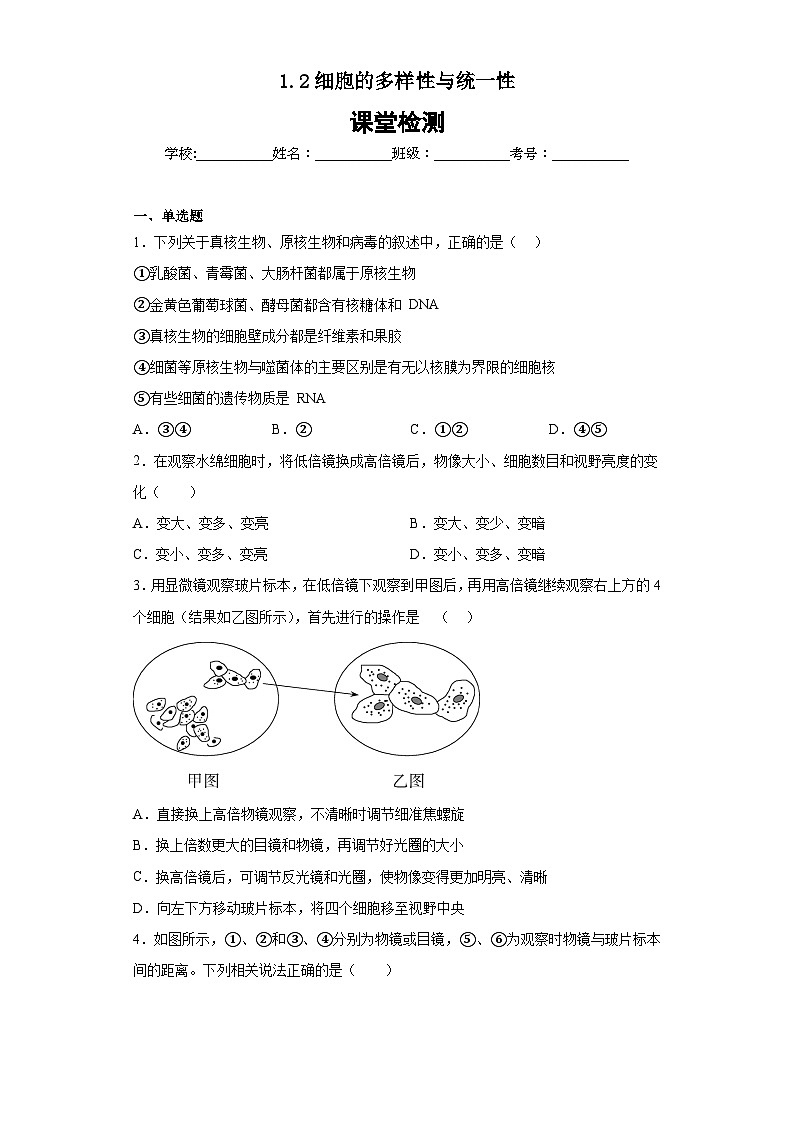 【核心素养目标】1.2《细胞的多样性和统一性》课件+课堂检测01