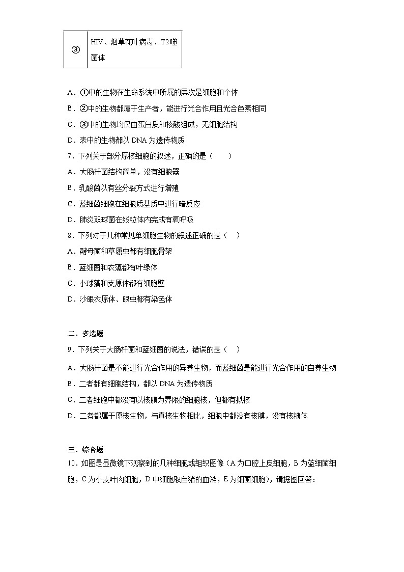【核心素养目标】1.2《细胞的多样性和统一性》课件+课堂检测03