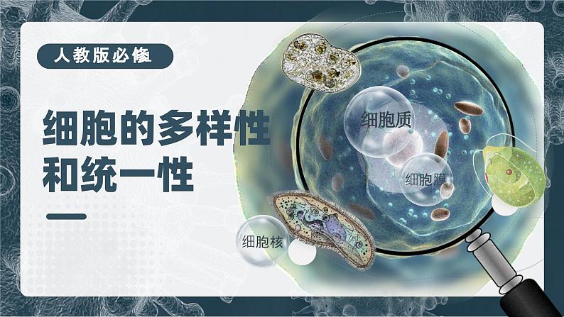 【核心素养目标】1.2《细胞的多样性和统一性》课件+课堂检测01