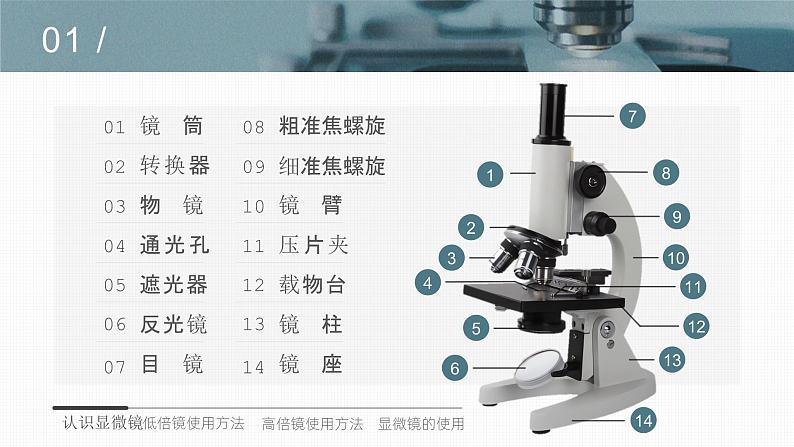 【核心素养目标】1.2《细胞的多样性和统一性》课件+课堂检测05