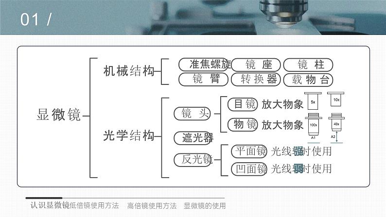 【核心素养目标】1.2《细胞的多样性和统一性》课件+课堂检测06