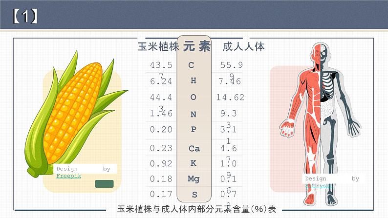 【核心素养目标】2.1《细胞中的元素和化合物》课件+课堂检测07