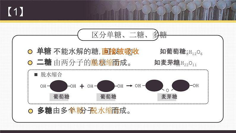 【核心素养目标】2.3《细胞中的糖类和脂质》课件+课堂检测08