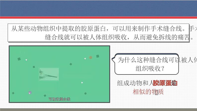 【核心素养目标】2.4《蛋白质是生命活动的主要承担者》课件+课堂检测03