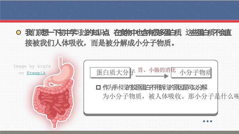 【核心素养目标】2.4《蛋白质是生命活动的主要承担者》课件+课堂检测05