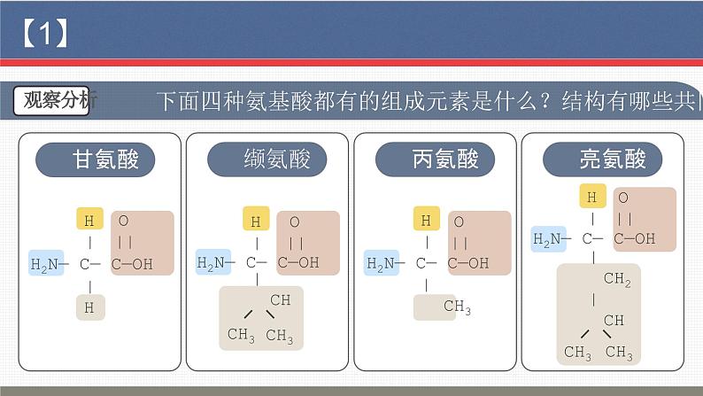 【核心素养目标】2.4《蛋白质是生命活动的主要承担者》课件+课堂检测07