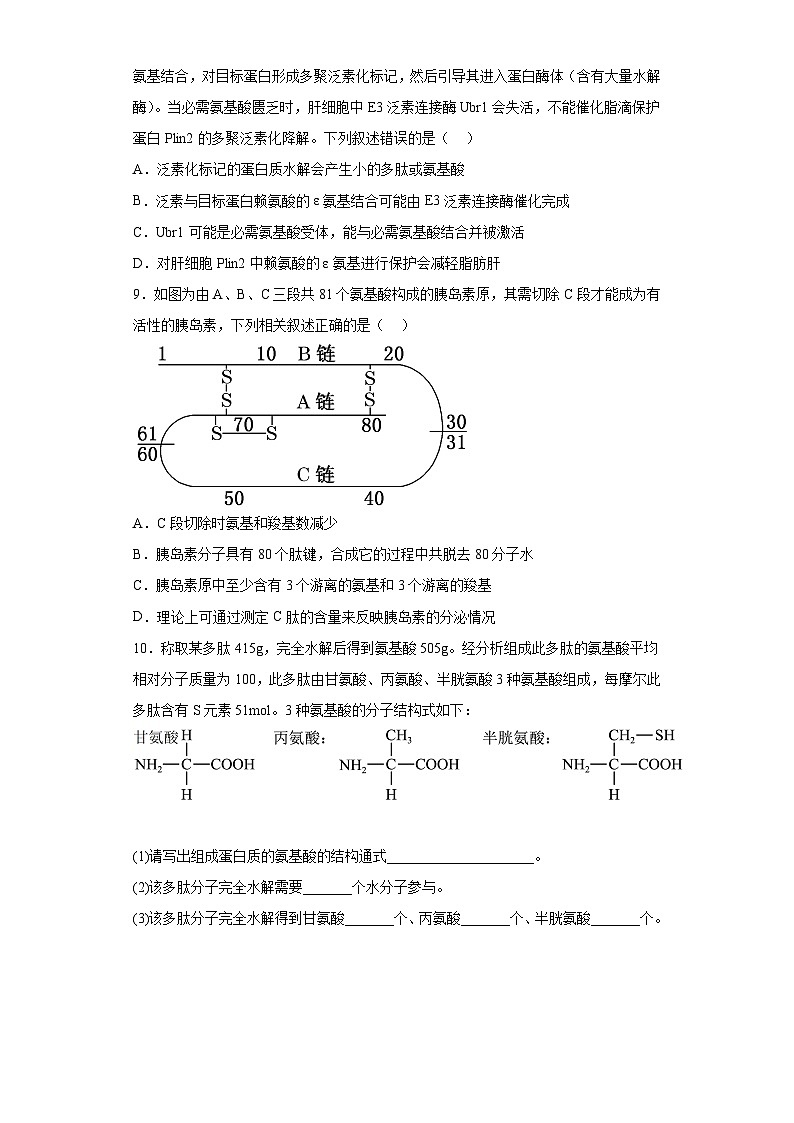 【核心素养目标】2.4《蛋白质是生命活动的主要承担者》课件+课堂检测03