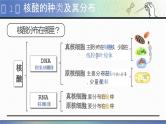 【核心素养目标】2.5《核酸是遗传信息的携带者》课件+课堂检测