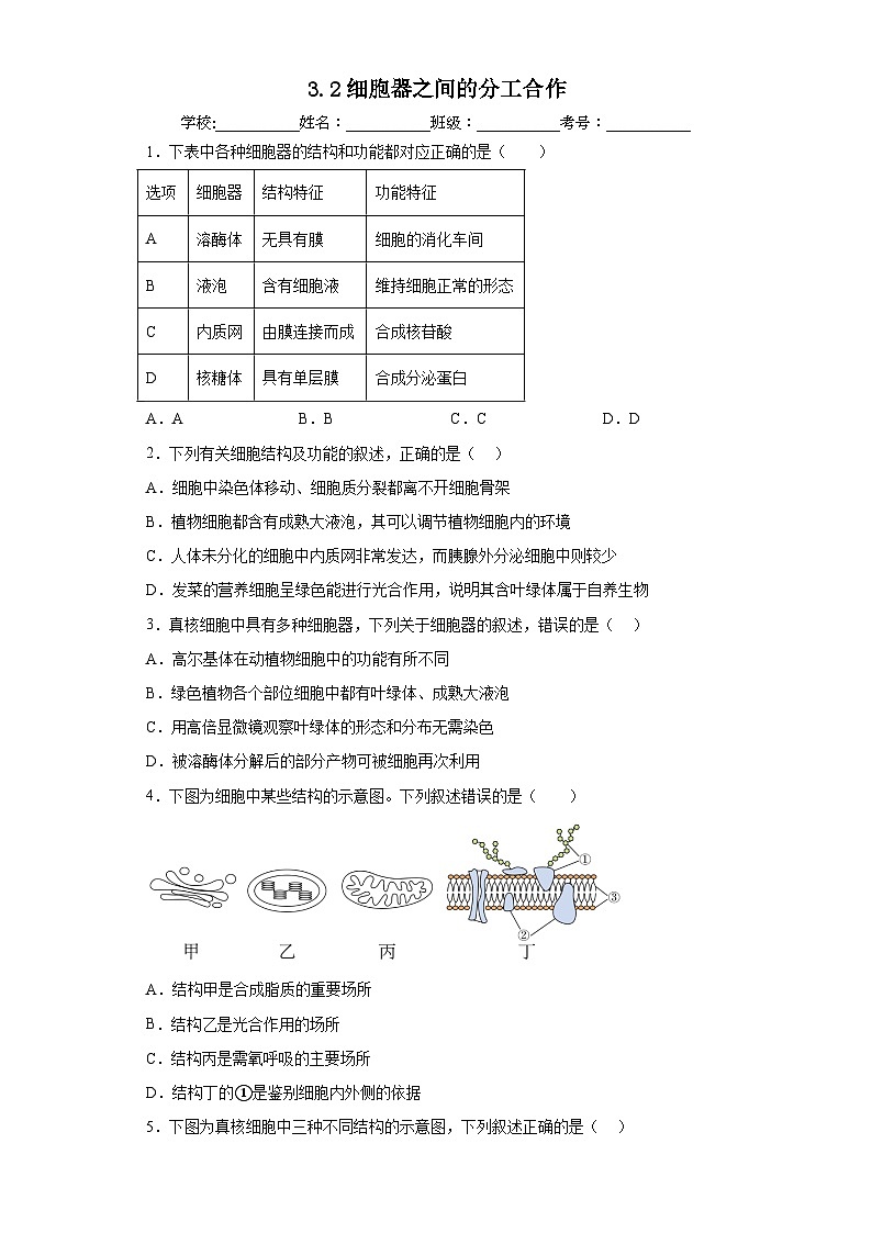 【核心素养目标】3.2《细胞器之间的分工合作》课件+课堂检测01