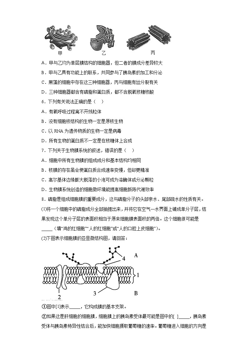 【核心素养目标】3.2《细胞器之间的分工合作》课件+课堂检测02
