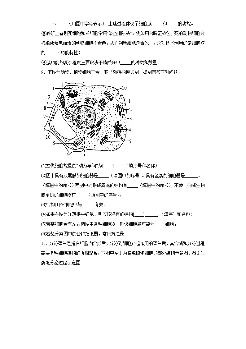【核心素养目标】3.2《细胞器之间的分工合作》课件+课堂检测03