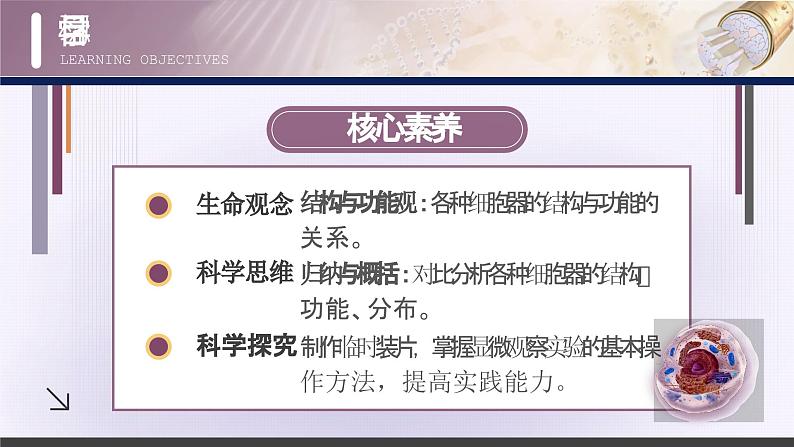 【核心素养目标】3.2《细胞器之间的分工合作》课件+课堂检测02