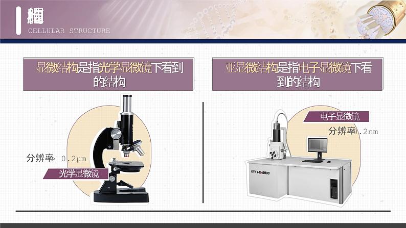 【核心素养目标】3.2《细胞器之间的分工合作》课件+课堂检测05