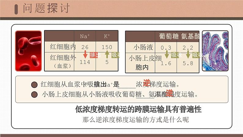 【核心素养目标】4.2《主动运输与胞吞、胞吐》课件+课堂检测06