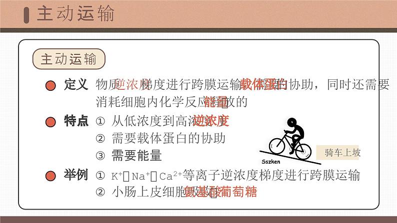 【核心素养目标】4.2《主动运输与胞吞、胞吐》课件+课堂检测08