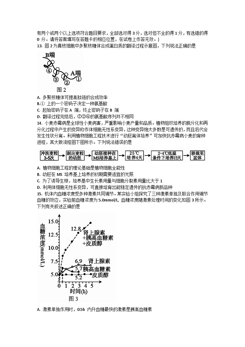 2024壮族自治区柳州新高三上学期开学摸底考试生物含答案03