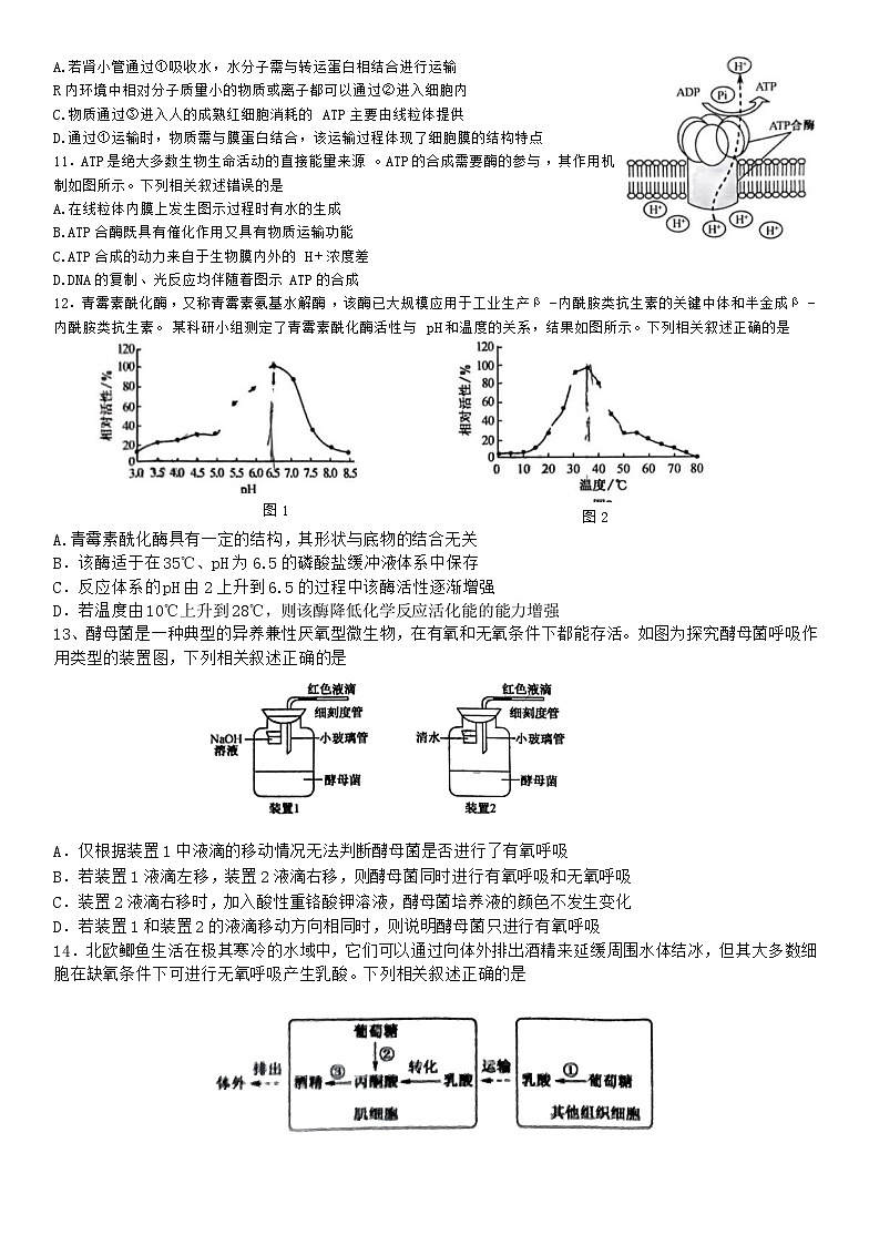 2023河南省部分名校-204学年高三上学期核心模拟（一）生物含解析 试卷03