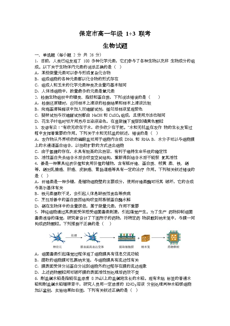 河北省保定市部分高中2023-2024学年高一生物上学期9月月考试题（Word版附解析）01