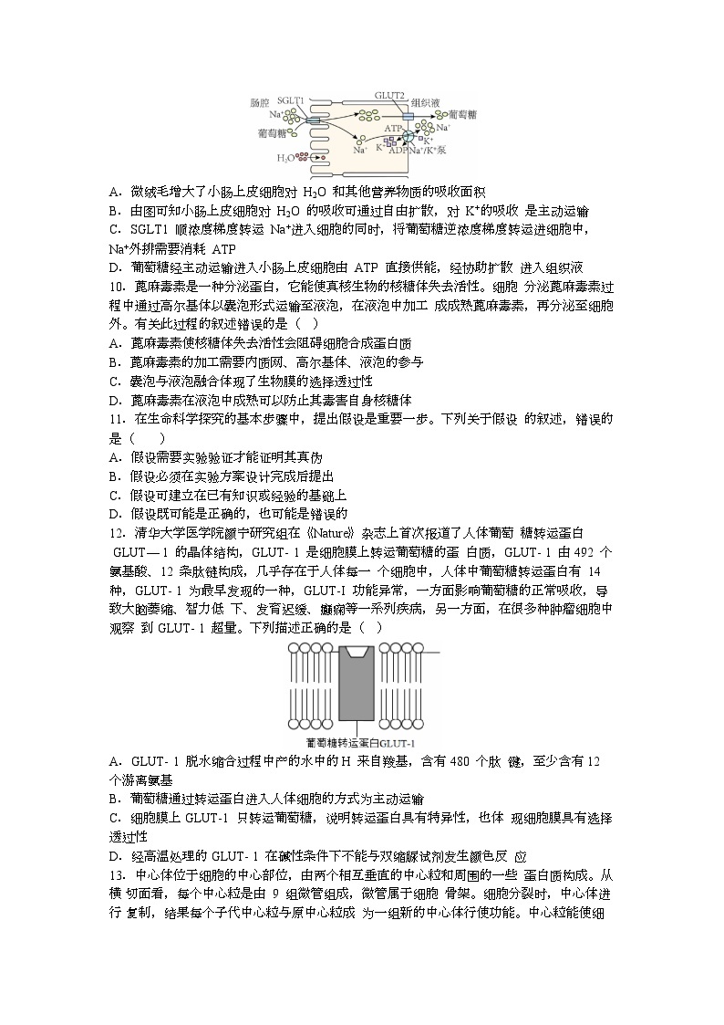 河北省保定市部分高中2023-2024学年高一生物上学期9月月考试题（Word版附解析）03
