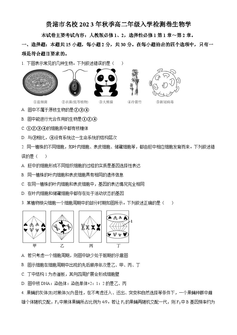 广西贵港市名校2023-2024学年高二生物上学期开学联考试题（Word版附解析）01