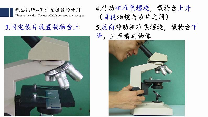 1.2细胞的多样性和统一性课件PPT05