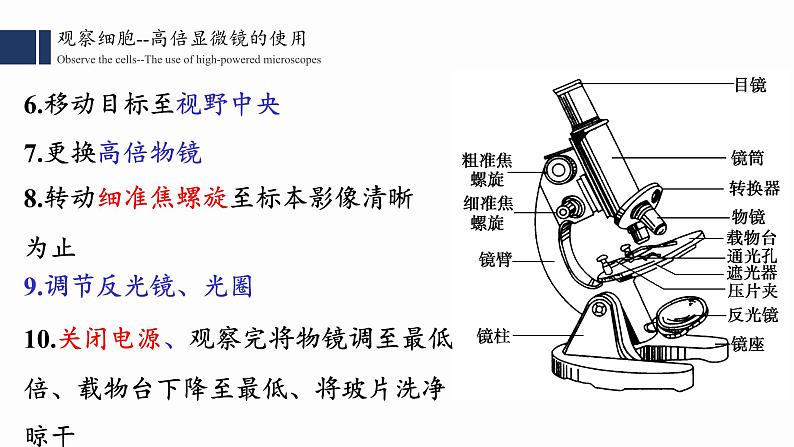 1.2细胞的多样性和统一性课件PPT06