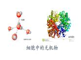 2.2细胞中的无机物课件PPT