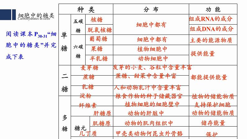 2.3细胞中的糖类和脂质课件PPT05