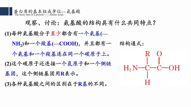 2.4蛋白质是生命活动的主要承担者课件PPT08