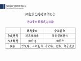 3.2细胞器之间的分工合作（2）课件PPT