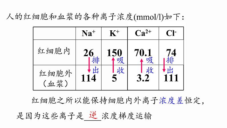 4.2主动运输与胞吞、胞吐课件PPT第4页