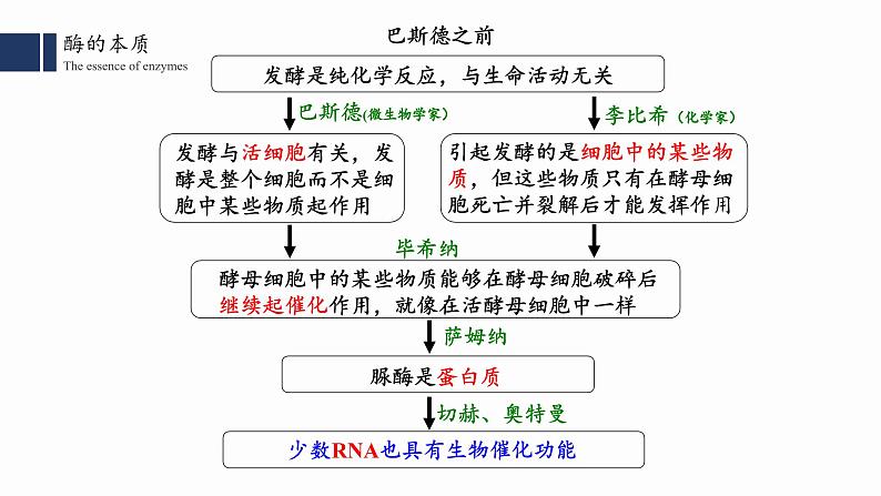 5.1降低化学反应活化能的酶（1）课件PPT07